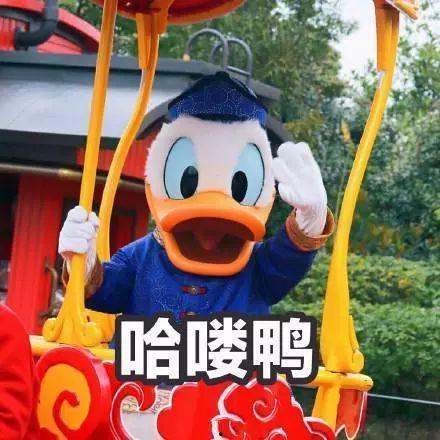 娱乐吃瓜鸭,吃瓜鸭带你探秘明星幕后故事