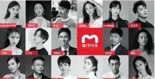 娱乐吃瓜酱保大保小,揭秘“保大保小”背后的故事与真相