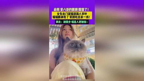 吃瓜少女猫娱乐,揭秘娱乐圈幕后故事