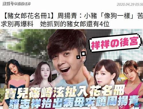 娱乐吃瓜菌岁月,娱乐吃瓜菌的趣味人生回顾