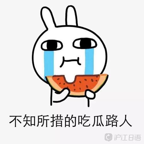 娱乐吃瓜酱6字诀