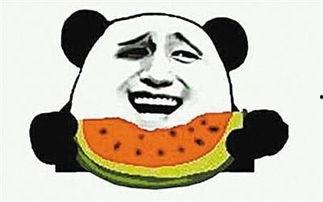 娱乐吃瓜酱抓鸡视频下载,揭秘热门娱乐幕后故事